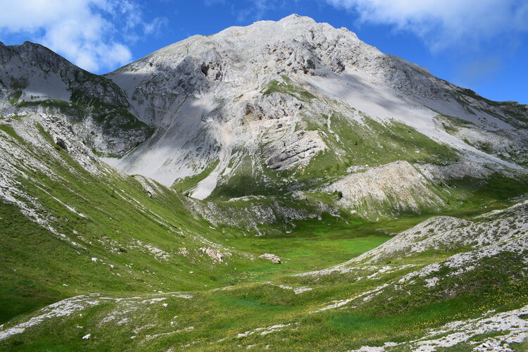 Orchidee stregate (ovvero come ho esplorato il Pian delle Streghe, nelle Alpi Carniche)