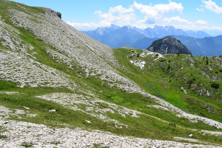 Orchidee stregate (ovvero come ho esplorato il Pian delle Streghe, nelle Alpi Carniche)