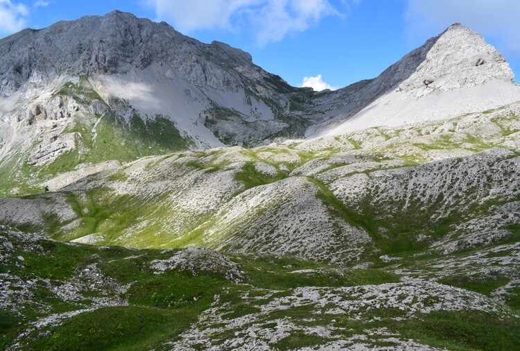 Orchidee stregate (ovvero come ho esplorato il Pian delle Streghe, nelle Alpi Carniche)