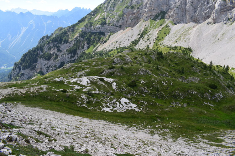 Orchidee stregate (ovvero come ho esplorato il Pian delle Streghe, nelle Alpi Carniche)