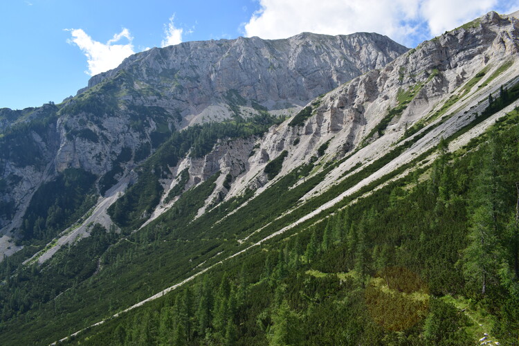 Orchidee stregate (ovvero come ho esplorato il Pian delle Streghe, nelle Alpi Carniche)