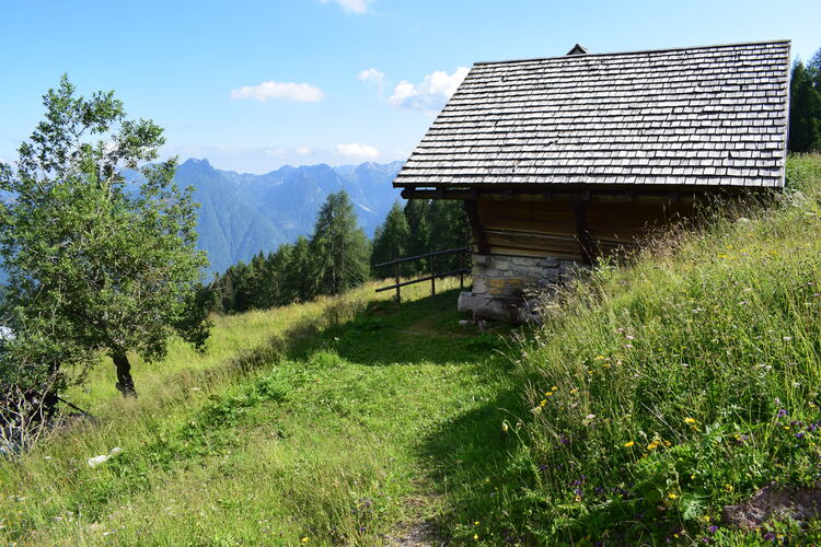 Orchidee stregate (ovvero come ho esplorato il Pian delle Streghe, nelle Alpi Carniche)