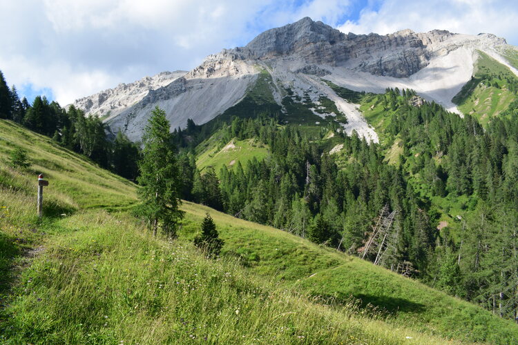 Orchidee stregate (ovvero come ho esplorato il Pian delle Streghe, nelle Alpi Carniche)