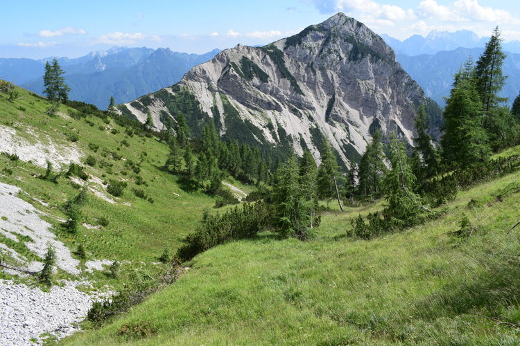 Orchidee stregate (ovvero come ho esplorato il Pian delle Streghe, nelle Alpi Carniche)