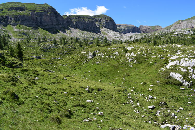 Pian della Nana e le sue fioriture (Dolomiti di Brenta)