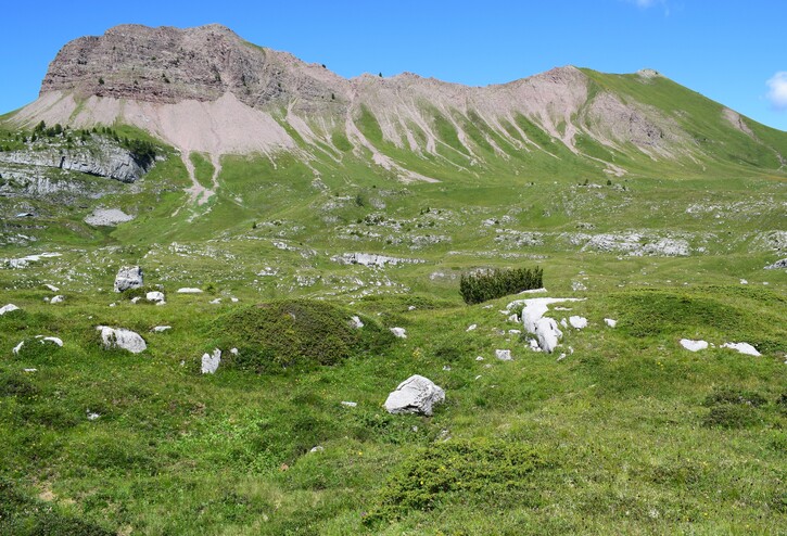 Pian della Nana e le sue fioriture (Dolomiti di Brenta)