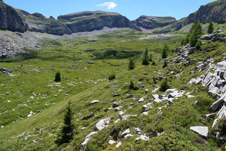 Pian della Nana e le sue fioriture (Dolomiti di Brenta)
