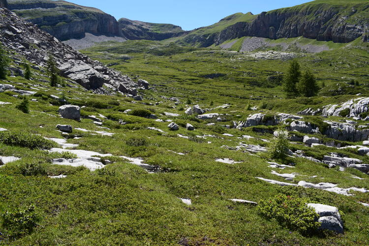 Pian della Nana e le sue fioriture (Dolomiti di Brenta)