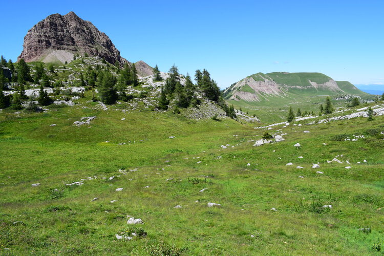 Pian della Nana e le sue fioriture (Dolomiti di Brenta)