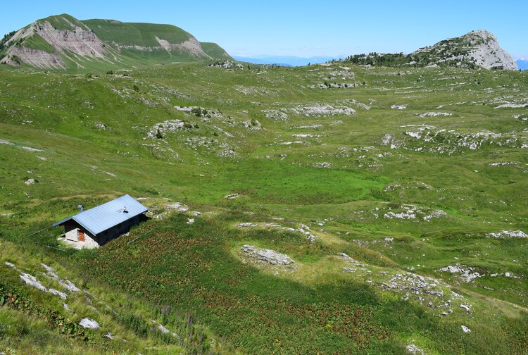 Pian della Nana e le sue fioriture (Dolomiti di Brenta)