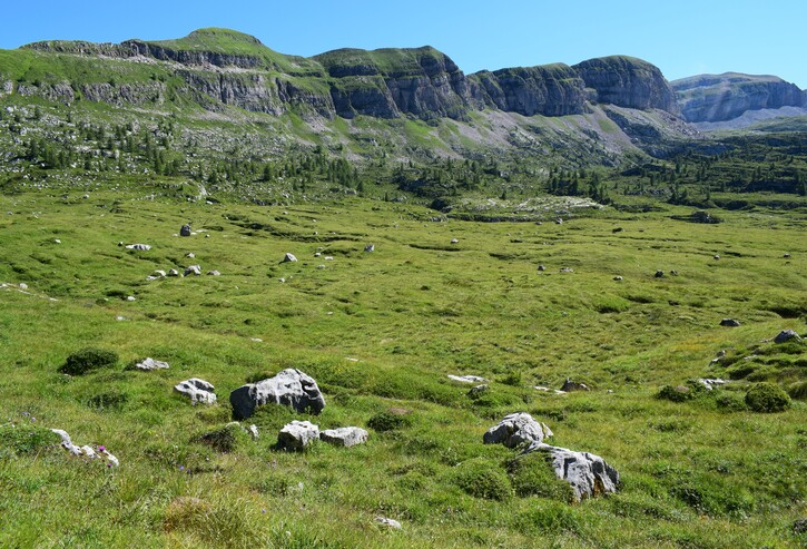 Pian della Nana e le sue fioriture (Dolomiti di Brenta)