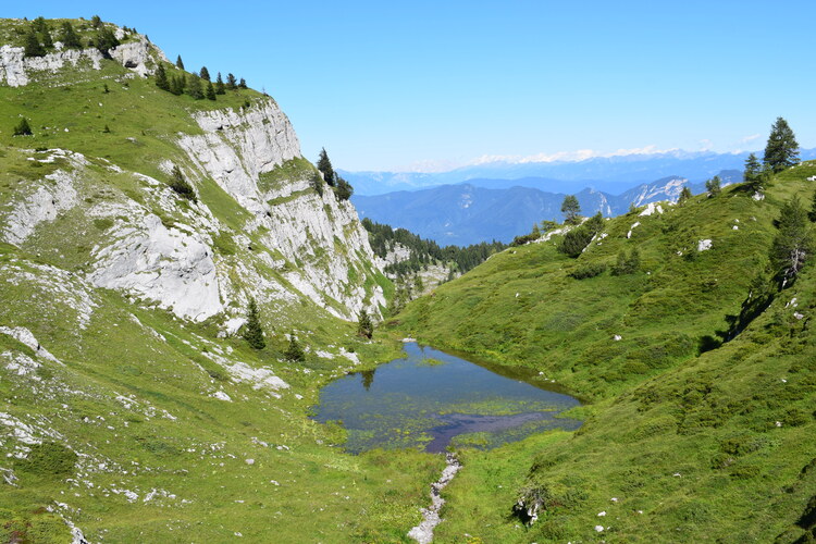 Pian della Nana e le sue fioriture (Dolomiti di Brenta)