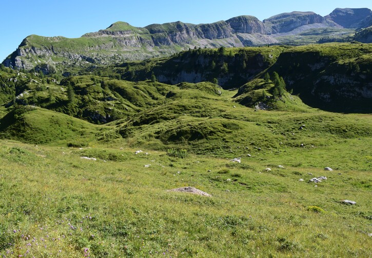 Pian della Nana e le sue fioriture (Dolomiti di Brenta)