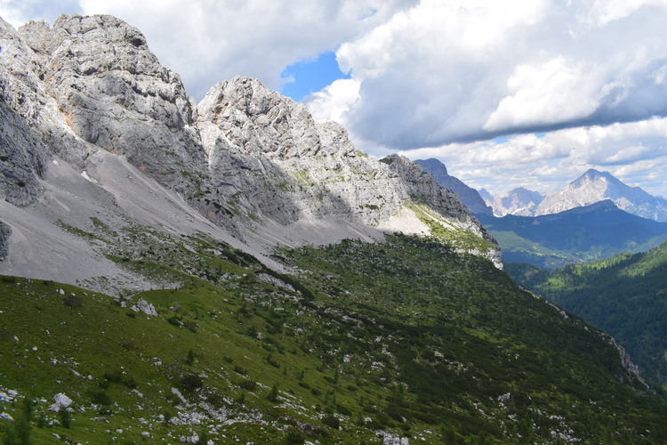 La Nigritella widderi in Moiazza (Dolomiti Bellunesi)