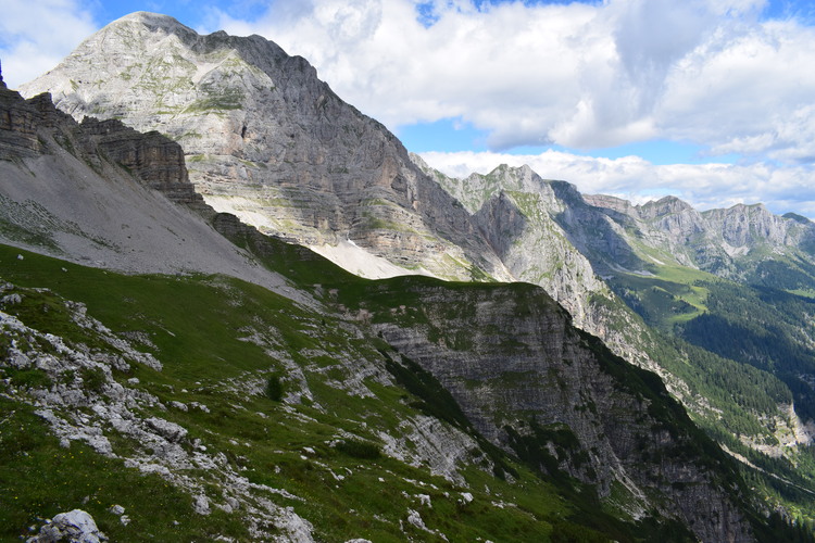 Nigritelle e loro ibridi in Brenta