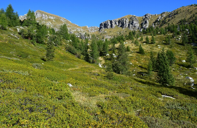 La Cresta del Frate (Altopiano del Tesino)