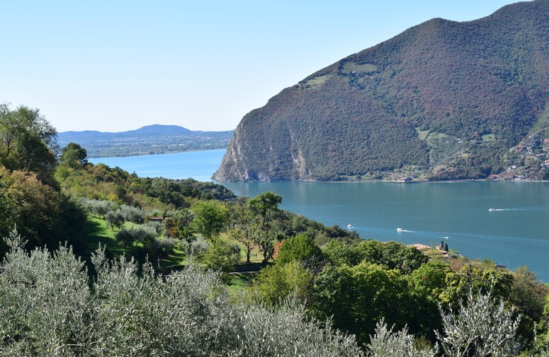 Le orchidee di Montisola (Lago d''Iseo)