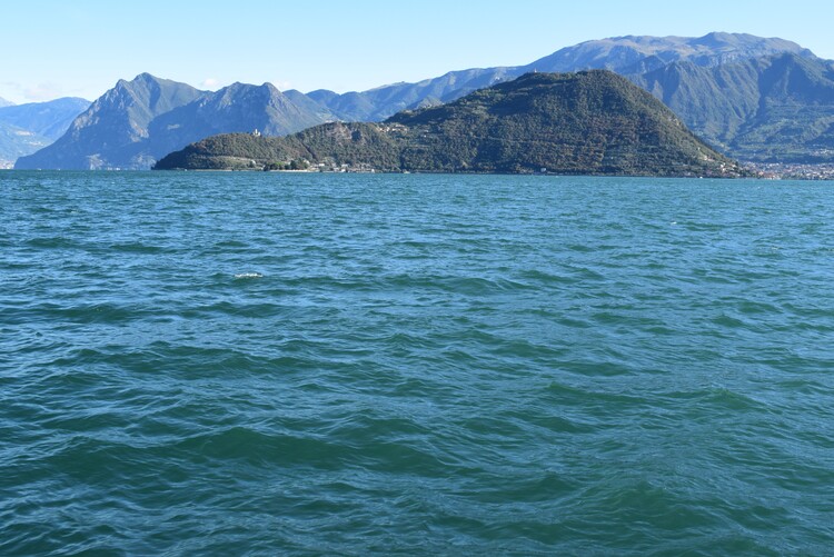 Le orchidee di Montisola (Lago d''Iseo)