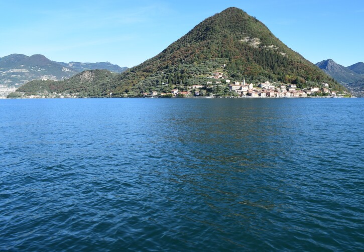 Le orchidee di Montisola (Lago d''Iseo)