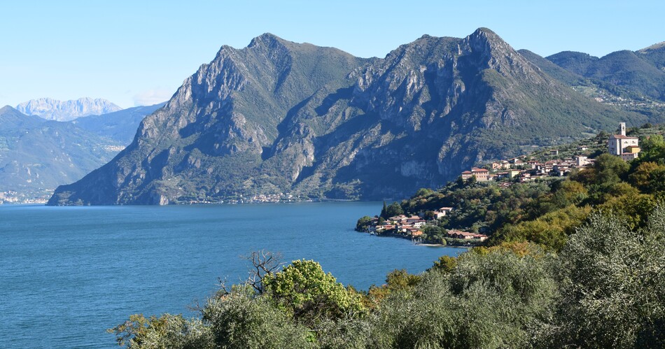 Le orchidee di Montisola (Lago d''Iseo)