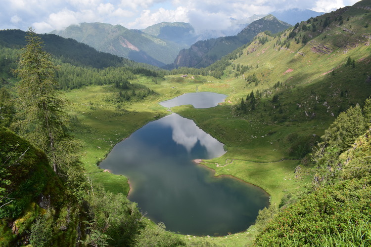 Le aree umide di Malga Cornelle