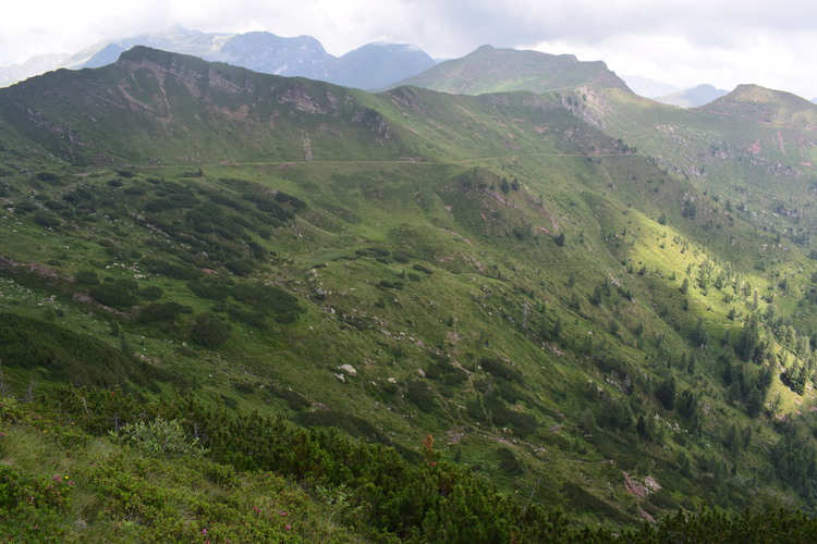 Le aree umide di Malga Cornelle