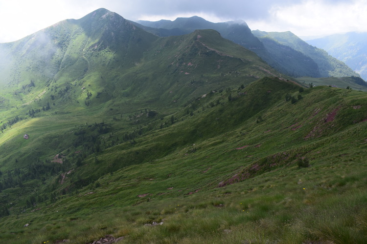 Le aree umide di Malga Cornelle