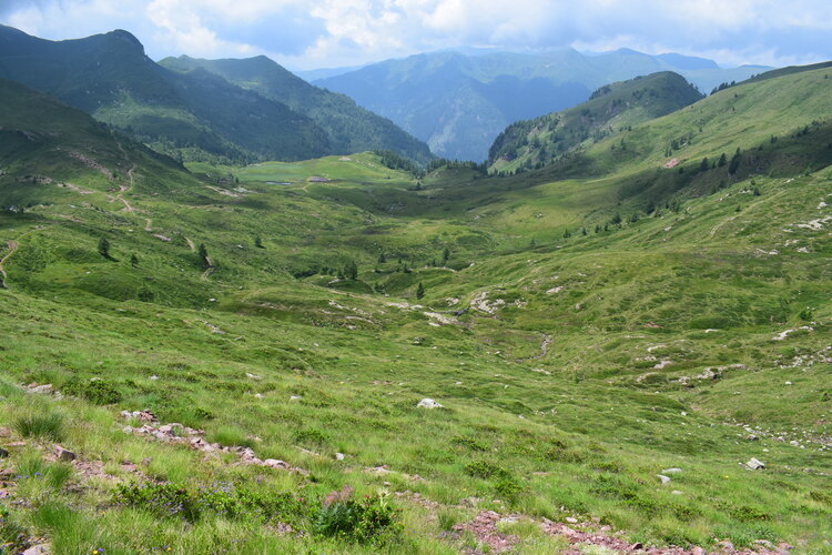 Le aree umide di Malga Cornelle