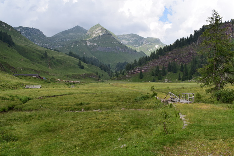 Le aree umide di Malga Cornelle