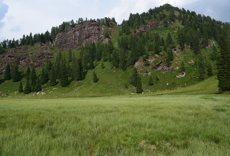 Le aree umide di Malga Cornelle