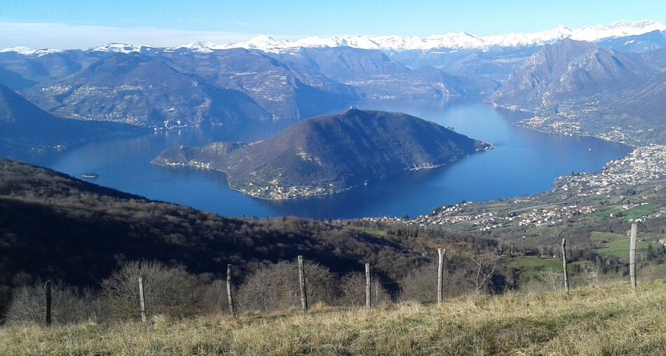 Le orchidee di Montisola (Lago d''Iseo)