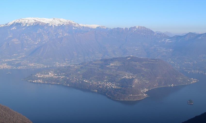 Le orchidee di Montisola (Lago d''Iseo)