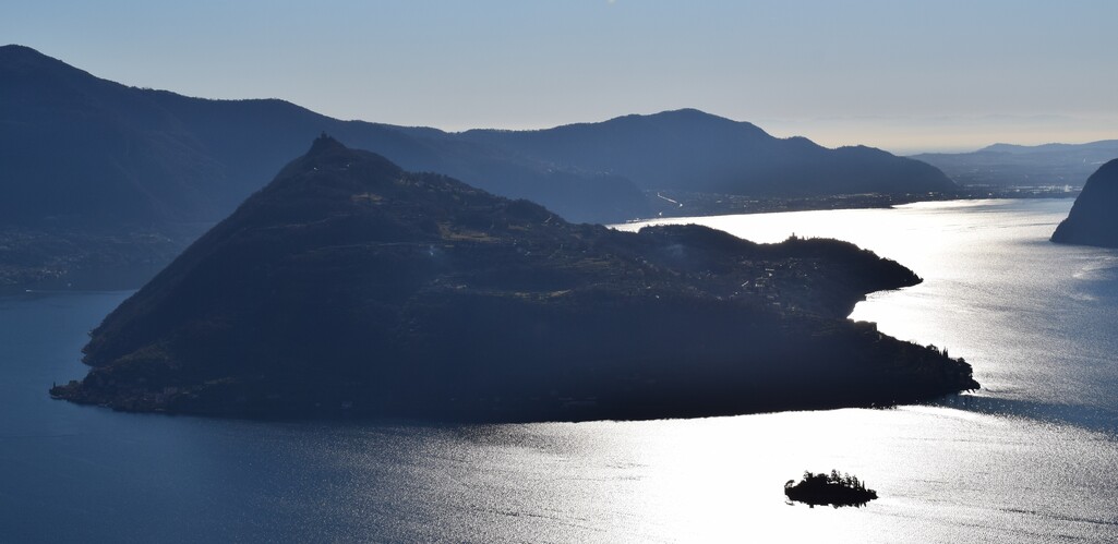 Le orchidee di Montisola (Lago d''Iseo)