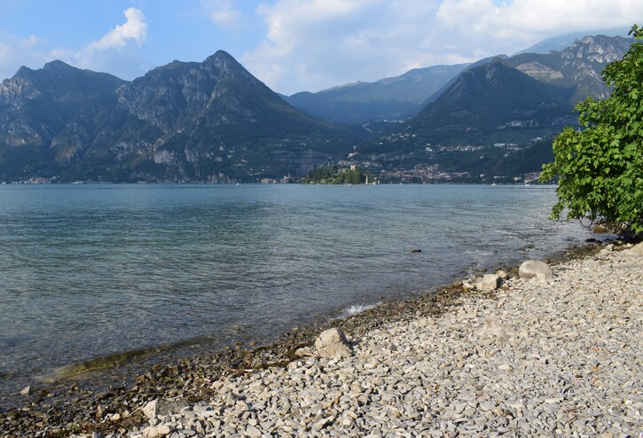 Le orchidee di Montisola (Lago d''Iseo)