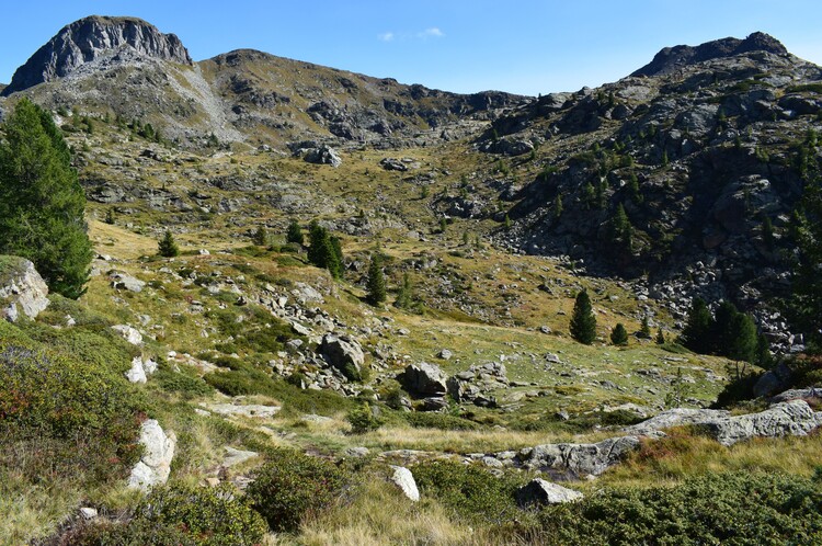 Da Ponte Conseria a Forcella delle Buse Todesche (Lagorai)