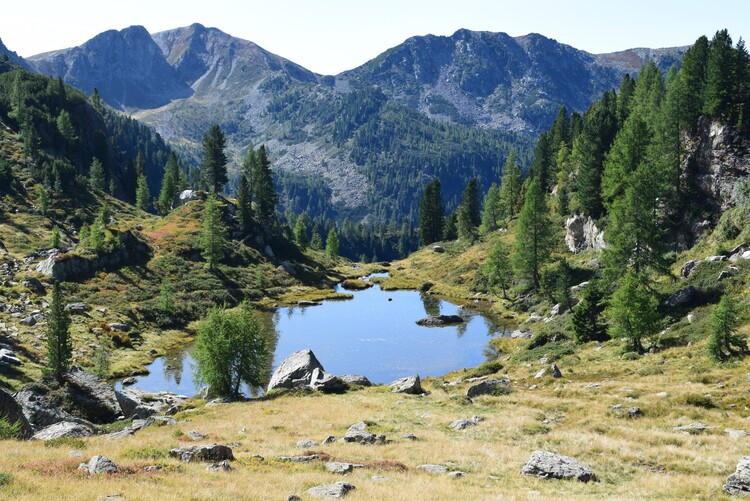 Da Ponte Conseria a Forcella delle Buse Todesche (Lagorai)