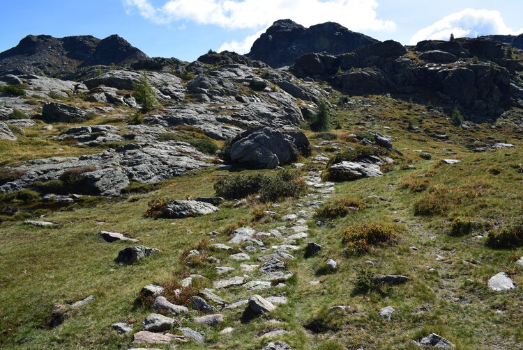 Da Ponte Conseria a Forcella delle Buse Todesche (Lagorai)