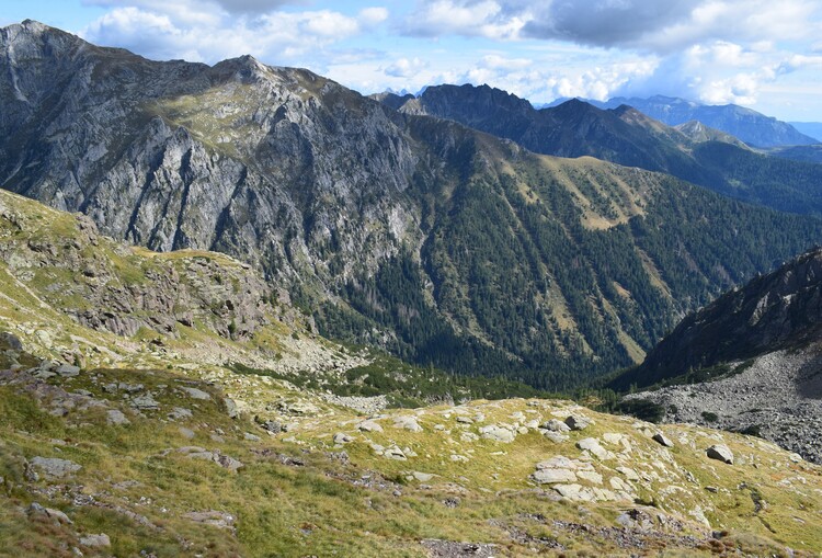 Da Ponte Conseria a Forcella delle Buse Todesche (Lagorai)