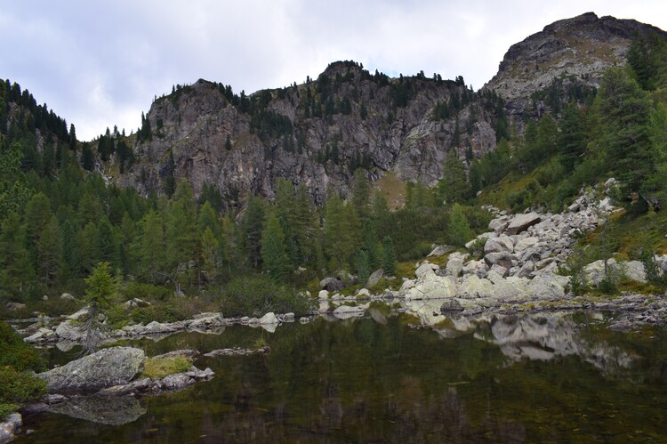 Da Ponte Conseria a Forcella delle Buse Todesche (Lagorai)