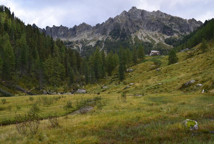 Da Ponte Conseria a Forcella delle Buse Todesche (Lagorai)