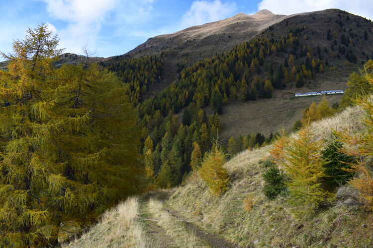 Cima delle Mandrie  terzo tentativo  da Pracorno di Rabbi (Catena delle Maddalene)