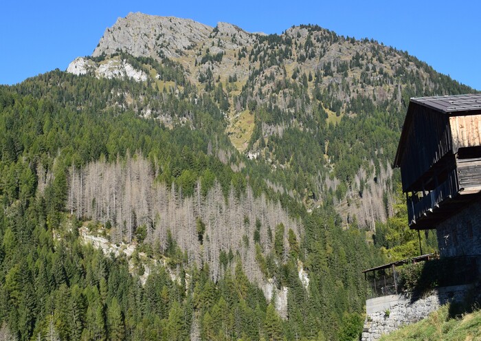 Piz Zorlet da San Tomaso Agordino (Gruppo della Marmolada)