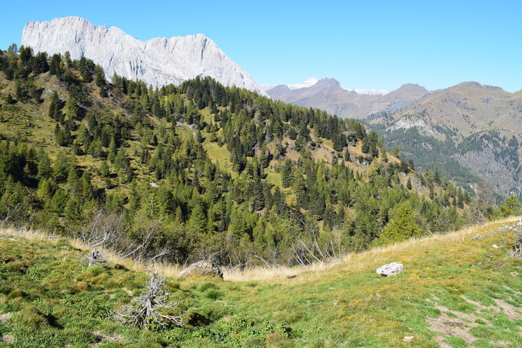 Piz Zorlet da San Tomaso Agordino (Gruppo della Marmolada)