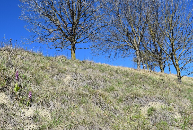 Le Barlie degli Appennini (da Pavia a Bologna)