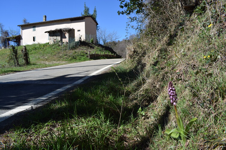 Le Barlie degli Appennini (da Pavia a Bologna)