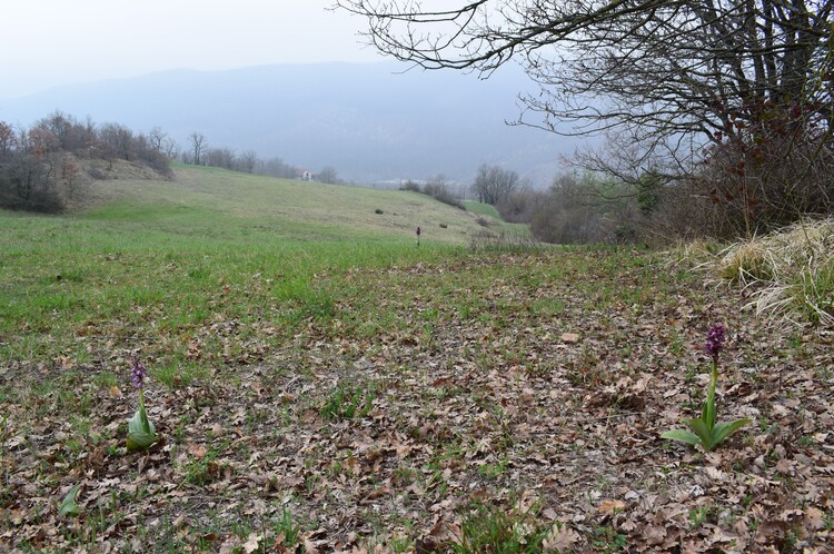 Le Barlie degli Appennini (da Pavia a Bologna)