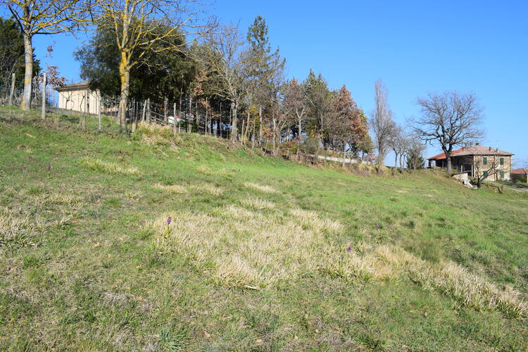 Le Barlie degli Appennini (da Pavia a Bologna)