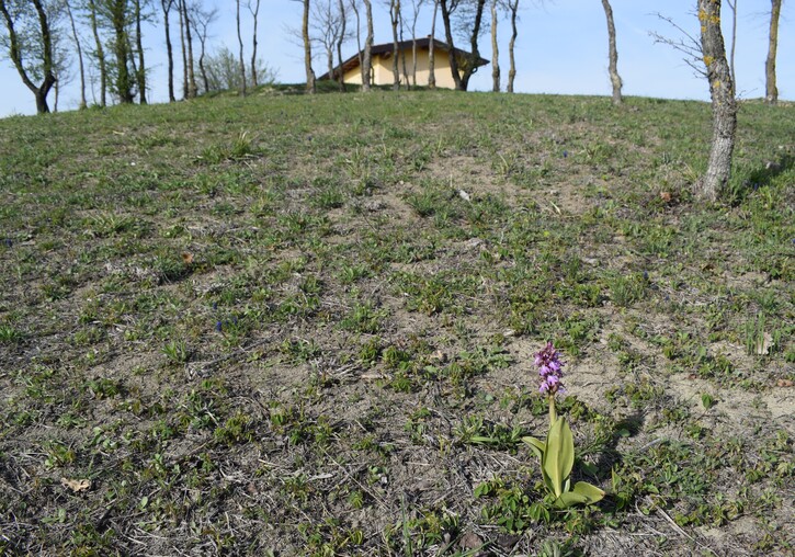 Le Barlie degli Appennini (da Pavia a Bologna)