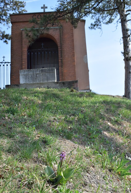 Le Barlie degli Appennini (da Pavia a Bologna)