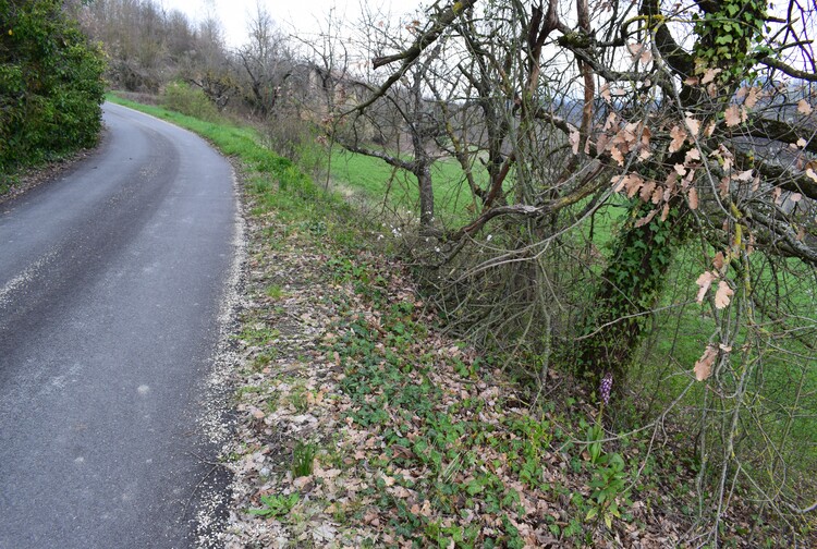 Le Barlie degli Appennini (da Pavia a Bologna)